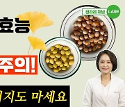 천식·방광에 좋은 은행, 조심해야 하는 이유[정세연의 음식처방]