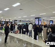 “고생하셨어요, 사인해주세요” 야구팬 공항 점령, 韓 영파워 인기 폭발…아이돌 부럽지 않았다 [오!쎈 현장]