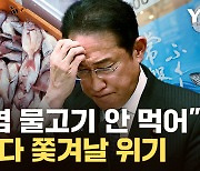 [자막뉴스] 정권 붕괴 위기...日 기시다 조여오는 '아오키의 법칙'