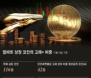 코인시장도 기울어진 운동장… 큰손 고래, 업비트 코인 90% 보유