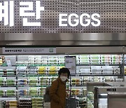 Grocery prices in Seoul more than double New York’s