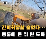 간이화장실 숨었다…똥통에 든 쥐 된 도둑(영상)