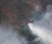 강원 양구 산불…48분 만에 진화 완료