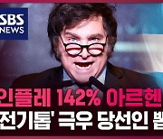 [딥빽] 인플레 142% 아르헨티나 민심, '전기톱' 극우 당선인 뽑은 이유는?