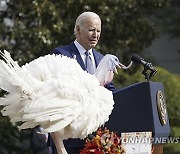 Biden White House Holidays