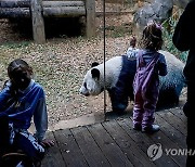 USA GIANT PANDAS ATLANTA