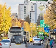 양천구, 횡단보도에 '스마트 안전횡단 솔루션'