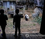 epaselect USA GIANT PANDAS ATLANTA