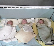 횡성 서원면 세쌍둥이 탄생 "경사 났네"