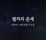 [카드뉴스] 2023년 11월 22일 오늘의 운세