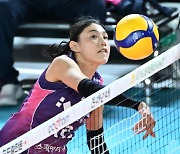 쌍포면 충분해! 김연경 27점+옐레나 27점…흥국생명, 풀세트 대역전 6연승