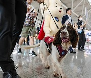 마약 우범국 다녀오면 비행기 내리자마자 전신 스캔하고 짐 검사