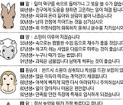 [직장인을 위한 오늘의 운세] 2023년 11월 22일 수요일 오늘의 띠별 운세 (음력 10월 10일)