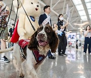 "마약 우범국 여행자 대상 마약 전수 검사 시행"