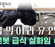 팔 하나로 '뚝딱'...급식실에 등장한 놀라운 요리사 [지금이뉴스]