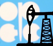 상상인證 “OPEC+ 추가 감산 어렵다… 내년 유가 70달러대 전망 유지”