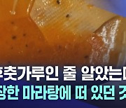 "후춧가루인 줄 알았는데"···포장한 마라탕에서 나온 벌레