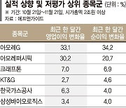 숨고르기 장세에 눈부신 실적주 빛난다