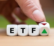 급성장한 액티브 ETF, 뮤추얼 펀드 자리 넘본다 [글로벌 ETF 트렌드]