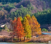 [포토친구] 주천생태공원