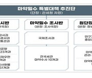 인천 등 마약 치료보호기관 확충, 인천공항·인천항 검색 강화