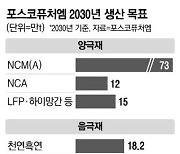 포스코퓨처엠, 음극재 '탈중국' 속도