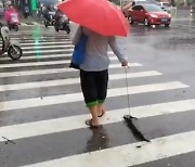 [영상]“보는 순간 두 눈 의심”…우산 쓴 중국女와 산책 나온 동물의 정체