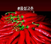 "음성고추"…김민준, 처남 지드래곤 3번째 마약 음성에 올린 글