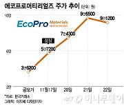 공매도 없이 신용만…개미 '폭탄 돌리기' 된 에코프로머티리얼즈