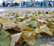 [내일 날씨] 전국 곳곳 눈·비 조금…오후부터 기온 낮아져