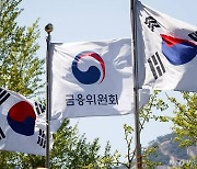 금융당국·지자체, 필요시 온라인 대부중개 사이트 합동점검 실시