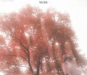 래퍼 파이멜, 신곡 ‘Muse’ 공개