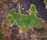 BRAZIL PHOTO SET WILDFIRES