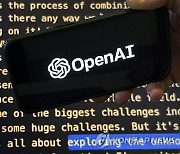 OpenAI Structure