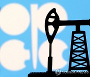 [뉴욕유가] OPEC+ 회의 관망 속에 3거래일 만에 하락