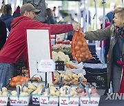 캐나다 10월 소비자 물가 전년 대비 3.1% 올라…상승세 둔화