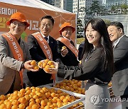 농협제주본부, 서울서 '감귤데이·고향사랑기부' 이벤트