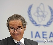 Austria IAEA