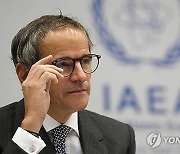 Austria IAEA