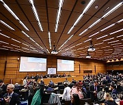 AUSTRIA IAEA BOARD MEETING