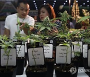 THAILAND HEMP EXPO