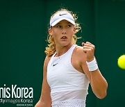 [WTA] 올해의 신인상 후보는 누구?