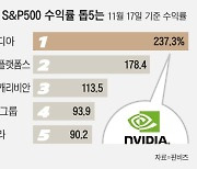 올해 S&P500 수익률 톱5는?