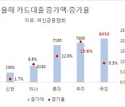 카드대출 증가율 '우리'·증가액 'KB' 가장 컸다