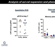 큐리옥스 "美 CAR-T 권위자가 자사 장비 이용한 연구성과 발표"