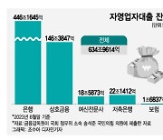 "저신용 자영업자, 서민은 쏙 빼고?"...2조 이자 '캐시백'의 딜레마