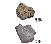 국립중앙과학관, 2023년도 국가중요과학기술자료 16건 등록 공고