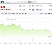 셀레믹스, 공모가 대비 83% '뚝'...주가 상승은 언제