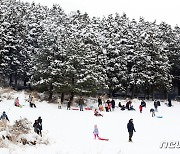 [오늘의 날씨] 제주(24일, 금)…낮 9~12도 산지 '눈'