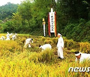 '선조들의 농사일 시연 한 컷에'…속리산 관문서 보은 장안농요 사진 전시회